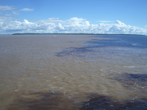 {short description of image}